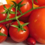 coldiretti - Alzheimer - dieta - pomodori