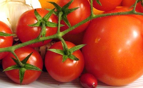 coldiretti - Alzheimer - dieta - pomodori