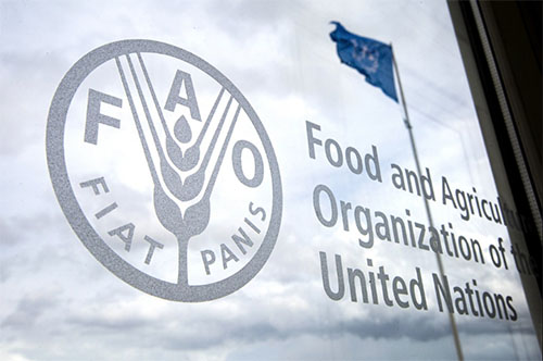 FAO - Maroc