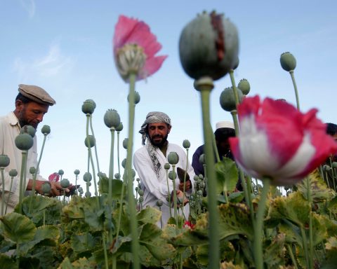 afghanistan oppio