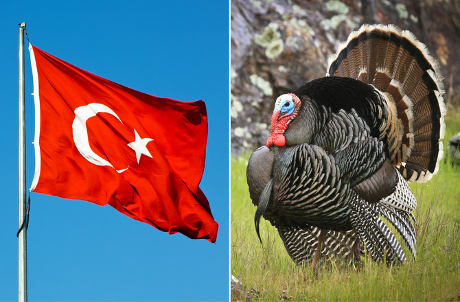 turkey - erdogan