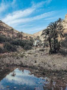 oasi - pioggia - marocco