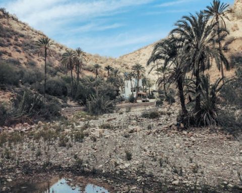 oasi - pioggia - marocco