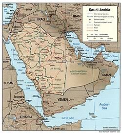 rabia saudita